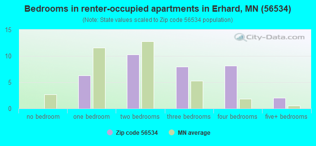 Bedrooms in renter-occupied apartments in Erhard, MN (56534) 
