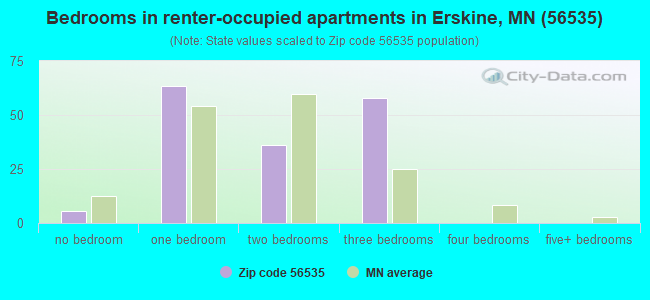 Bedrooms in renter-occupied apartments in Erskine, MN (56535) 