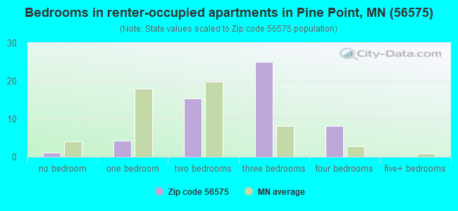 Bedrooms in renter-occupied apartments in Pine Point, MN (56575) 