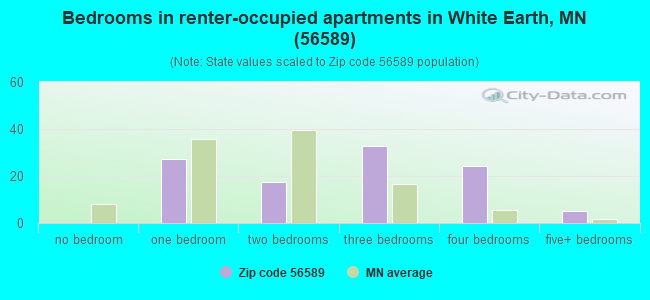 Bedrooms in renter-occupied apartments in White Earth, MN (56589) 