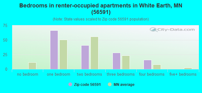 Bedrooms in renter-occupied apartments in White Earth, MN (56591) 