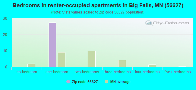 Bedrooms in renter-occupied apartments in Big Falls, MN (56627) 