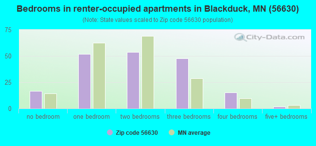 Bedrooms in renter-occupied apartments in Blackduck, MN (56630) 