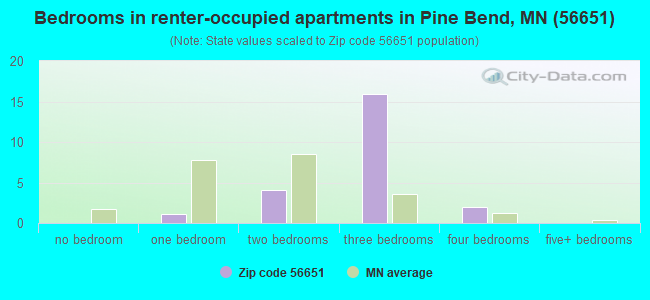 Bedrooms in renter-occupied apartments in Pine Bend, MN (56651) 