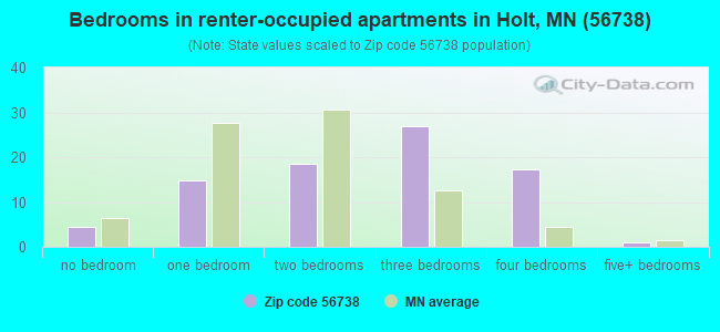 Bedrooms in renter-occupied apartments in Holt, MN (56738) 