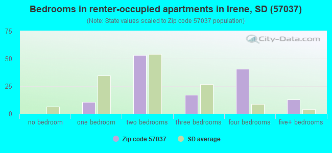 Bedrooms in renter-occupied apartments in Irene, SD (57037) 