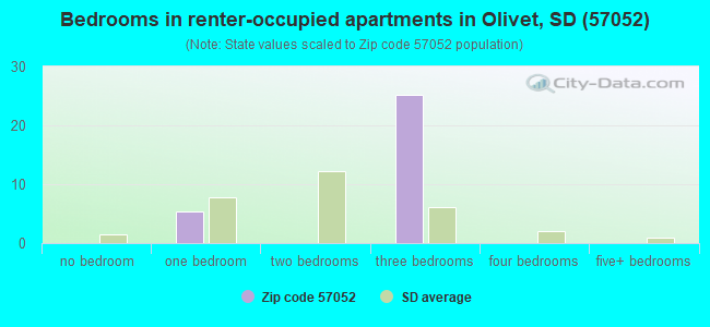 Bedrooms in renter-occupied apartments in Olivet, SD (57052) 