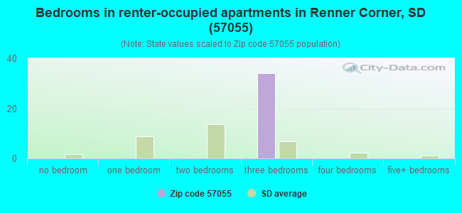 Bedrooms in renter-occupied apartments in Renner Corner, SD (57055) 