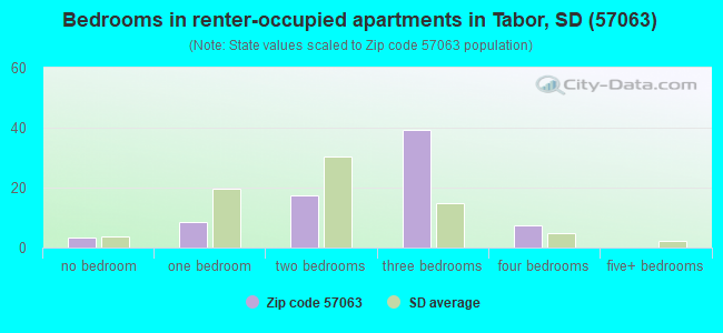 Bedrooms in renter-occupied apartments in Tabor, SD (57063) 