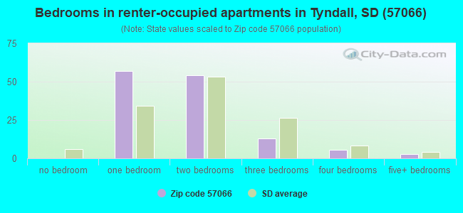 Bedrooms in renter-occupied apartments in Tyndall, SD (57066) 