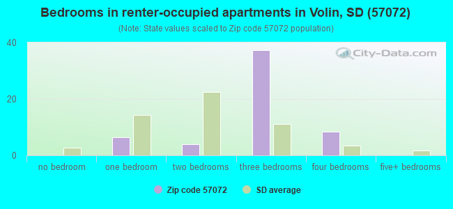 Bedrooms in renter-occupied apartments in Volin, SD (57072) 