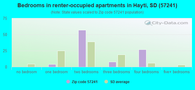 Bedrooms in renter-occupied apartments in Hayti, SD (57241) 
