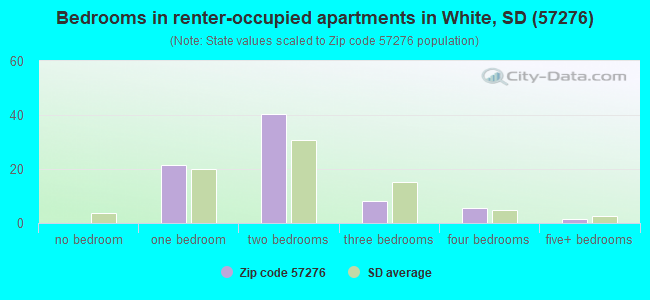 Bedrooms in renter-occupied apartments in White, SD (57276) 