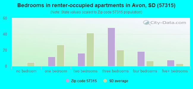 Bedrooms in renter-occupied apartments in Avon, SD (57315) 