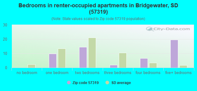 Bedrooms in renter-occupied apartments in Bridgewater, SD (57319) 