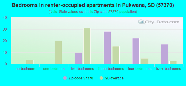 Bedrooms in renter-occupied apartments in Pukwana, SD (57370) 