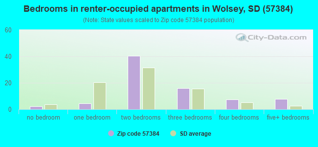 Bedrooms in renter-occupied apartments in Wolsey, SD (57384) 