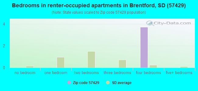 Bedrooms in renter-occupied apartments in Brentford, SD (57429) 