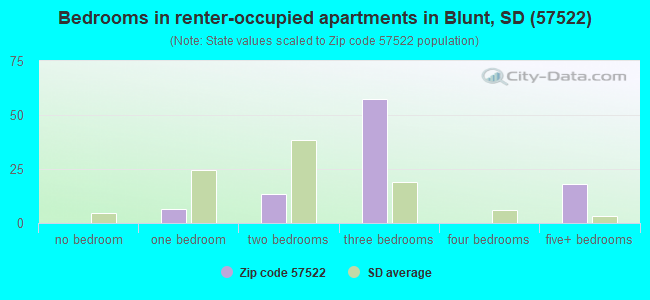 Bedrooms in renter-occupied apartments in Blunt, SD (57522) 