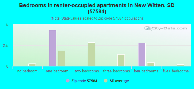 Bedrooms in renter-occupied apartments in New Witten, SD (57584) 