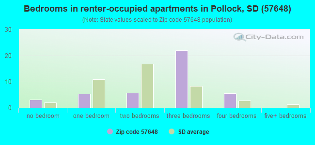 Bedrooms in renter-occupied apartments in Pollock, SD (57648) 