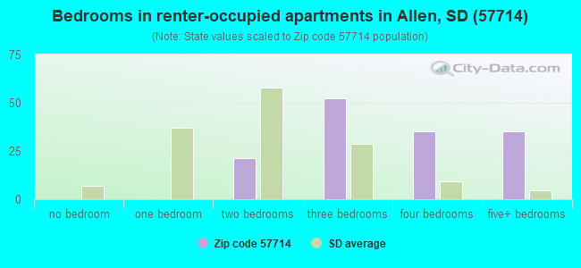 Bedrooms in renter-occupied apartments in Allen, SD (57714) 