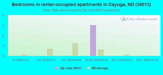 Bedrooms in renter-occupied apartments in Cayuga, ND (58013) 