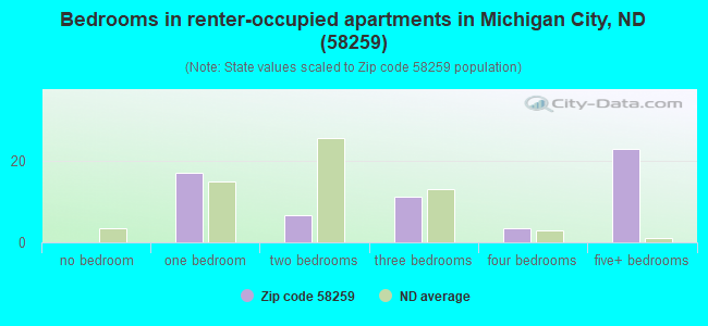 Bedrooms in renter-occupied apartments in Michigan City, ND (58259) 