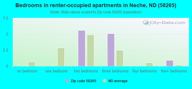 Bedrooms in renter-occupied apartments in Neche, ND (58265) 