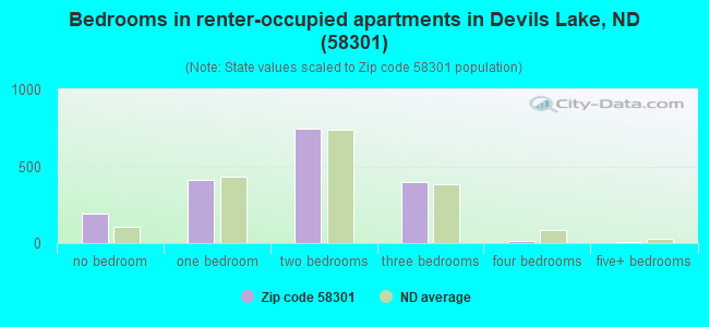 Bedrooms in renter-occupied apartments in Devils Lake, ND (58301) 