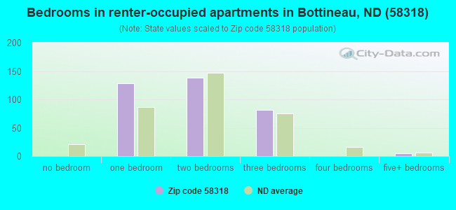 Bedrooms in renter-occupied apartments in Bottineau, ND (58318) 