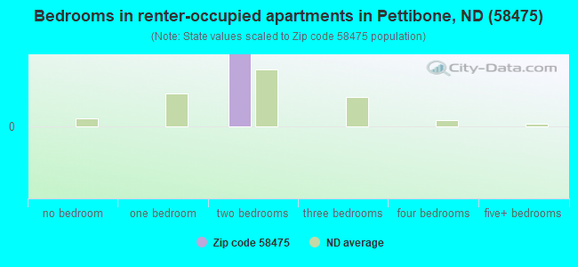 Bedrooms in renter-occupied apartments in Pettibone, ND (58475) 
