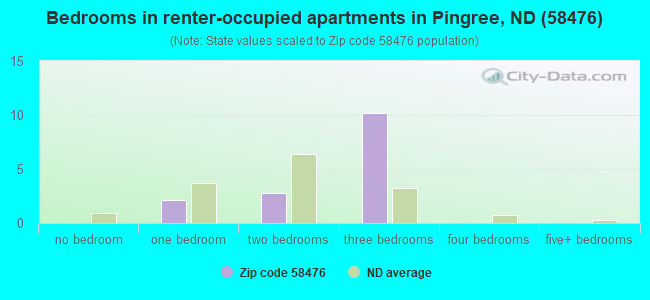 Bedrooms in renter-occupied apartments in Pingree, ND (58476) 