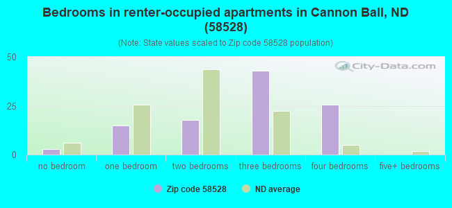 Bedrooms in renter-occupied apartments in Cannon Ball, ND (58528) 