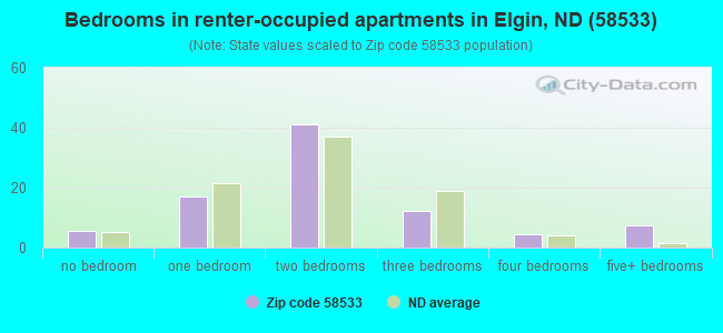 Bedrooms in renter-occupied apartments in Elgin, ND (58533) 