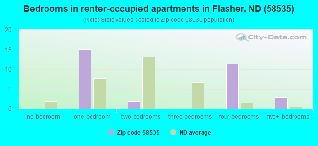 Bedrooms in renter-occupied apartments in Flasher, ND (58535) 