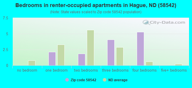 Bedrooms in renter-occupied apartments in Hague, ND (58542) 