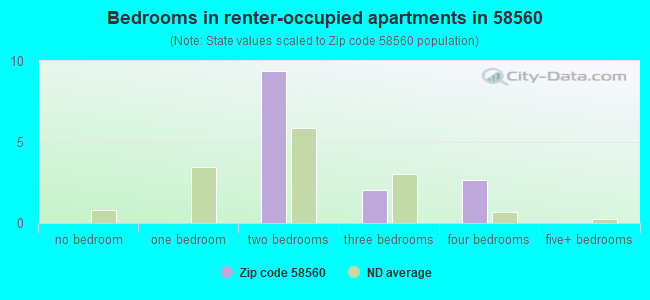 Bedrooms in renter-occupied apartments in 58560 