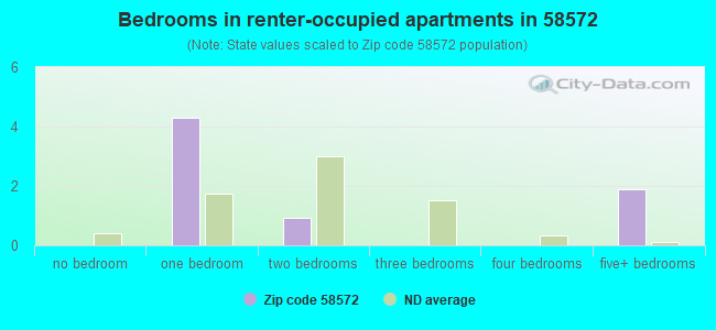 Bedrooms in renter-occupied apartments in 58572 