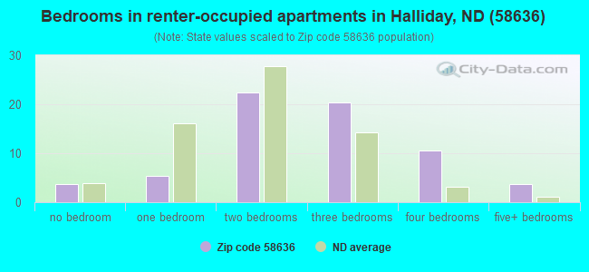 Bedrooms in renter-occupied apartments in Halliday, ND (58636) 