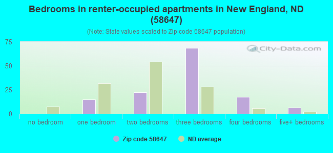 Bedrooms in renter-occupied apartments in New England, ND (58647) 