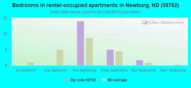 Bedrooms in renter-occupied apartments in Newburg, ND (58762) 