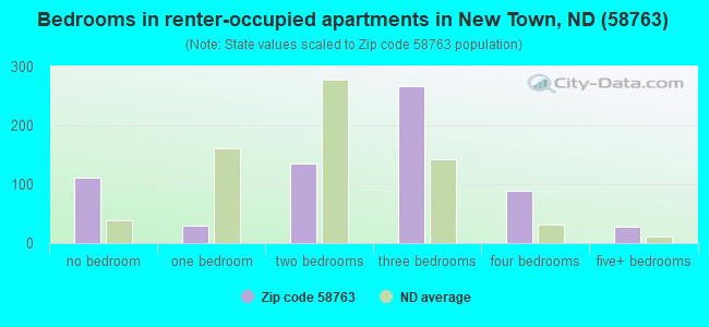 Bedrooms in renter-occupied apartments in New Town, ND (58763) 