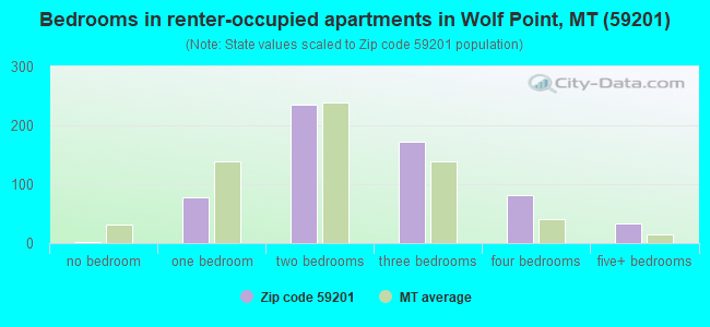 Bedrooms in renter-occupied apartments in Wolf Point, MT (59201) 