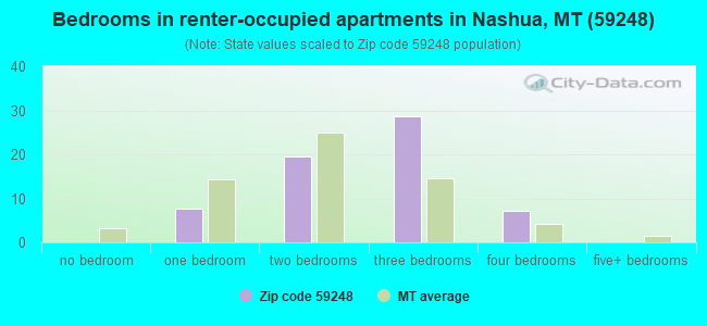 Bedrooms in renter-occupied apartments in Nashua, MT (59248) 