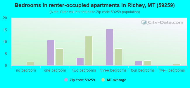 Bedrooms in renter-occupied apartments in Richey, MT (59259) 