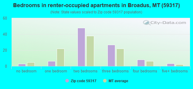Bedrooms in renter-occupied apartments in Broadus, MT (59317) 