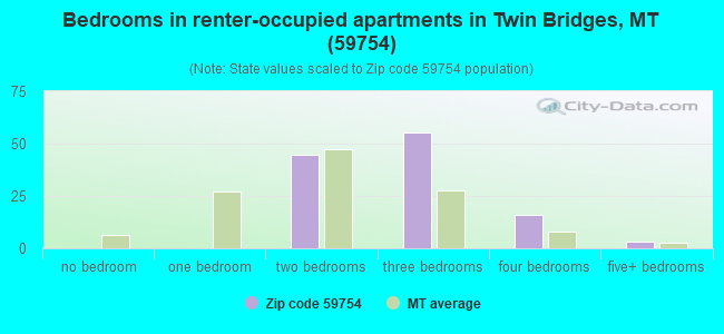 Bedrooms in renter-occupied apartments in Twin Bridges, MT (59754) 