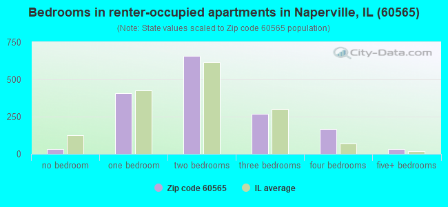 Bedrooms in renter-occupied apartments in Naperville, IL (60565) 