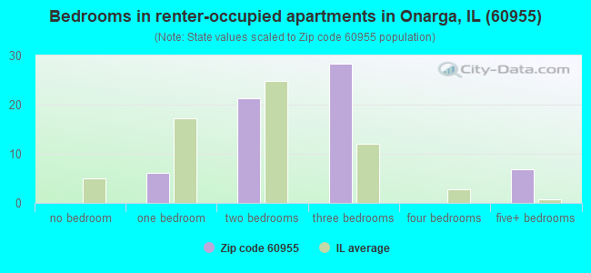 Bedrooms in renter-occupied apartments in Onarga, IL (60955) 